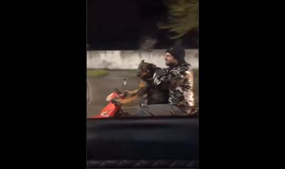 لحظات دیدنی از موتورسواری یک سگ در خیابان (فیلم) | شبکه اطلاع‌ رسانی طلا و ارز