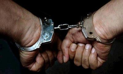 عاملان رعب و وحشت در اسلام‌شهر دستگیر شدند