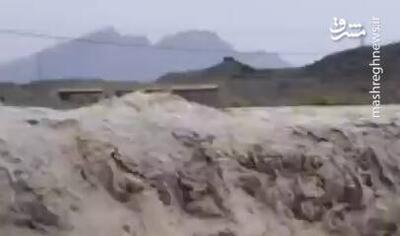 فیلم/ طغیان رودخانۀ فصلی  جلایی کلگ  نیکشهر