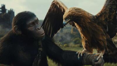 درجه‌ سنی فیلم Kingdom of the Planet of the Apes مشخص شد | شبکه اطلاع‌ رسانی طلا و ارز