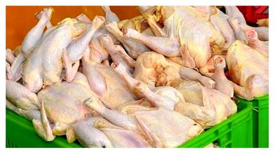 برنامه‌ریزی برای تولید ۱۰۰ هزار تن گوشت مرغ در لرستان