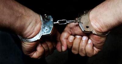 متهم به ۴۰ فقره سرقت دستگیر شد | شبکه اطلاع‌ رسانی طلا و ارز