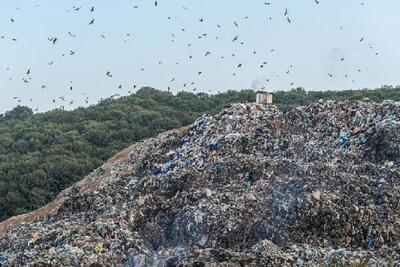 روزانه در استان ایلام ۷۷۴ تن زباله تولید می‌شود