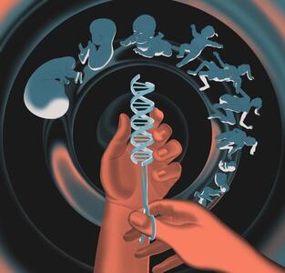 مطالعه جدید: ژن‌های قدرت می‌توانند از ما دربرابر بیماری و مرگ زودرس محافظت کنند