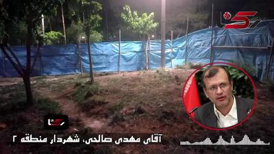 شهردار منطقه 2 تهران درخصوص وضعیت درختان پارک ستارخان توضیحاتی ارائه کرد/ خبری از قطع درختان نیست + صوت