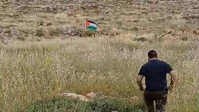 مجروح شدن یک شهرک‌نشین صهیونیست در تله پرچم فلسطین+ فیلم