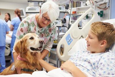 بیمارستانی در اسپانیا برای تقویت روحیه بیماران از سگ ها کمک می گیرند