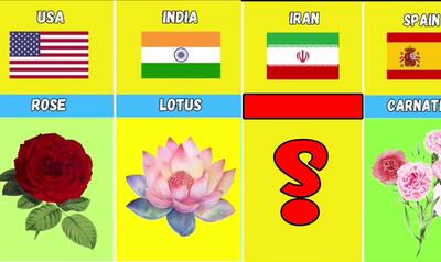 گل ملی ایران / زیباترین گل دنیا مال کدوم کشوره ؟!