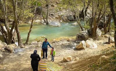 اعتراض فعالان زیست محیطی به واگذاری تنگ بستانک/ چوب حراج به ارزش های زیستی تحت لوای گردشگری