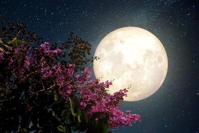 زمان دقیق طلوع ماه صورتی در ایران؛  این ماه را از دست ندهید!