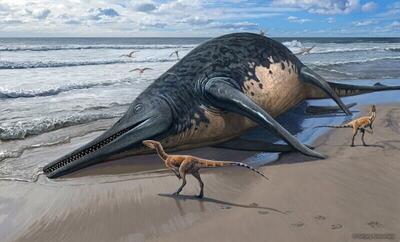 کشف موجودی بزرگ‌تر از نهنگ! / محل زندگی این جانور کجا بوده است؟