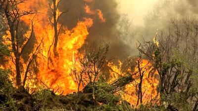 افزایش ۳۵۳ درصدی آتش‌سوزی در طبیعت ایران | اقتصاد24