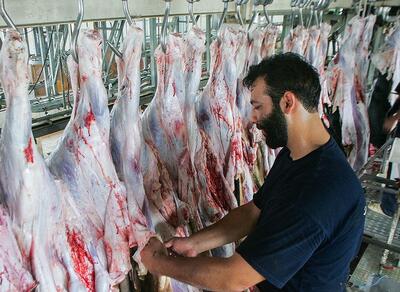تورم سالانه تولید گوشت از مرز ۱۰۰ درصد عبور کرد - عصر خبر