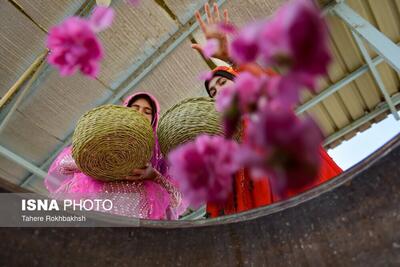 (تصاویر) جشنواره گل و گلابگیری در میمند
