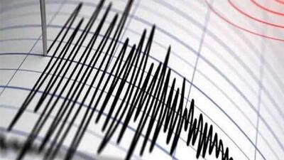 زلزله ۴.۶ ریشتری در کرمان/خسارت جانی و مالی نداشت