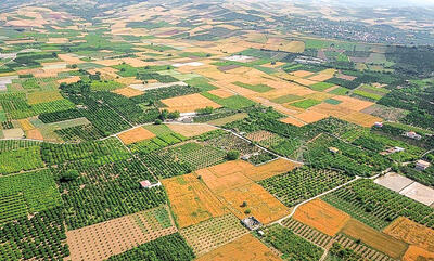 خسارت شدید سیلاب به اراضی گندم روستاهای شهرستان دهلران