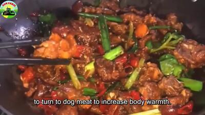 (ویدئو) مزرعه پرورش میلیون ها سگ در چین برای گوشت بیشتر