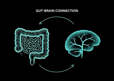 هوش مصنوعی در جستجوی راز آلزایمر: ارتباط بین روده و مغز!