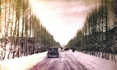 طولانی‌ترین خیابان تهران ۶۹ سال قبل این شکلی بود + عکس