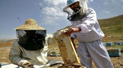 کم تحرکی زنبورها با دود مالیاتی