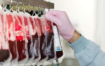 محققان: یک آنزیم باکتری روده می‌تواند دستیابی به خون همگانی را ممکن کند