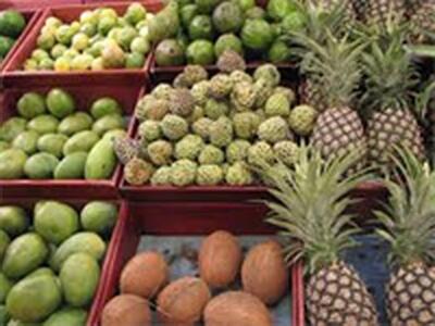 واردات میوه های گرمسیری زمینه رشد تجارت خارجی را فراهم می کند