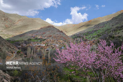 طبیعت بهاری روستای «شیلاندر»