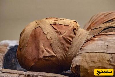 کشف صدها مومیایی و تابوت باستانی در گورستان وسیع مصر+ فیلم