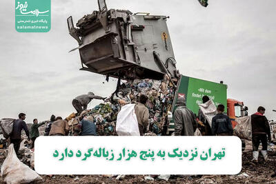 تهران نزدیک به پنج هزار زباله‌گرد دارد