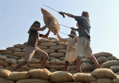 رکورد 2 ماهه واردات برنج هندی - شهروند آنلاین
