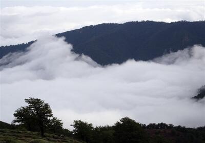 سقوط مرگبار عکاس 40 ساله از ارتفاعات جنگل ابر شاهرود- فیلم دفاتر استانی تسنیم | Tasnim