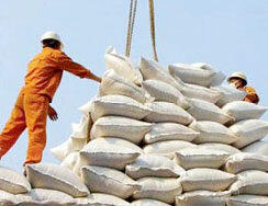برنامه دولت برای تخصیص ارز برنج مشخص شود