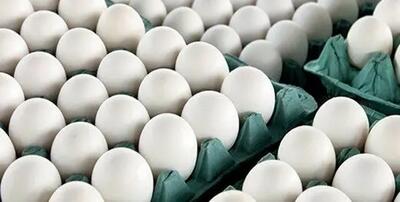قیمت تخم مرغ امروز ۱۷اردیبهشت ۱۴۰۳