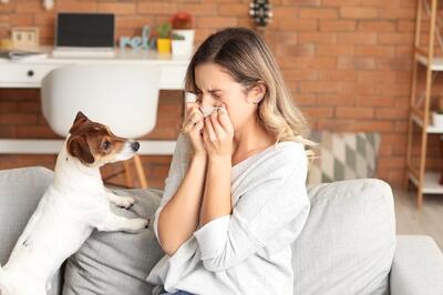 علایم حساسیت به حیوانات خانگی و نحوه درمان آن