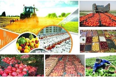 صادرات ۷۴ تن محصولات کشاورزی توسط تعاون روستایی استان قزوین
