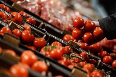 رکورد بی‌سابقه تولید ۲۰۰ تن گوجه‌فرنگی در کشور
