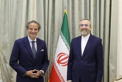 گروسی و سرپرست تیم مذاکرات هسته ای ایران  گفت‌وگو کردند