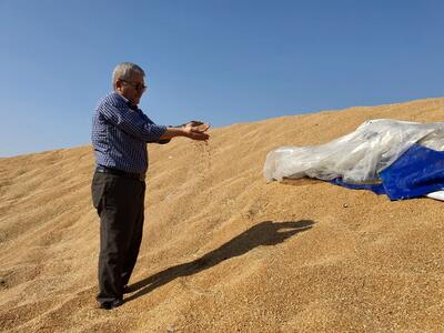 تمهیدات لازم برای ذخیره گندم در استان خوزستان اجرا شد