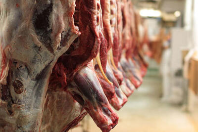 قیمت روز گوشت قرمز دوشنبه ۱۷ اردیبهشت ۱۴۰۳