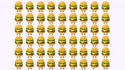 تست بینایی: زیر ۱۰ ثانیه همبرگر متفاوت در تصویر رو باید پیدا کنی - خبرنامه