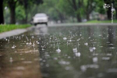 فیلم/ بارش شدید باران در ایلام