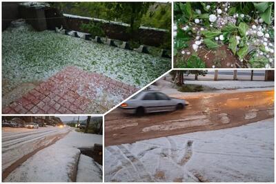 بارش تگرگ به باغات و مزارع شهرستان پاوه خسارت وارد کرد