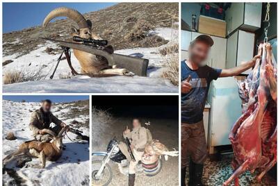 دستگیری 14 شکارچی و متخلف صیادی در مازندران - تسنیم