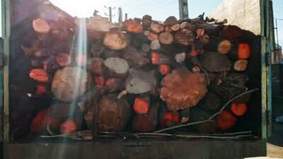 کشف و توقیف چوب جنگلی قاچاق در آمل