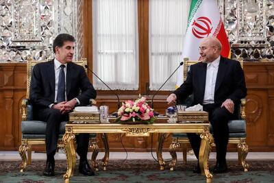 نچیروان بارزانی با رئیس مجلس شورای اسلامی دیدار کرد