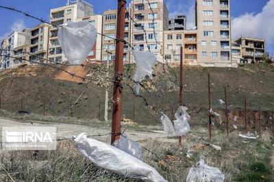 پویش «شهر بدون پلاستیک» در وزارت بهداشت تدوین شد