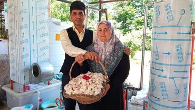 روستای «گیلده» میزبان روز ملی گل محمدی