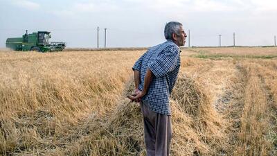 خبر مهم برای کشاورزان خوزستانی