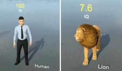 مقایسه هوش انواع حیوانات و انسان را ببینید + ویدیو