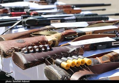 کشف 19 قبضه انواع سلاح غیرمجاز در مشهد - تسنیم